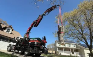 Why Small Tree Care Businesses Need a Voice Like ATCP