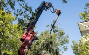 Ethics and Safety in Tree Care: Why They Define Professional Arboriculture